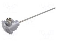 Sensor: temperature; Pt100; 100Ω; Ø6x250mm; -40÷300°C APAR