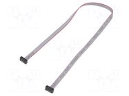 Ribbon cable with IDC connectors; IDC,both sides; 304.8mm; 12" SAMTEC