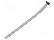 Ribbon cable with IDC connectors; IDC,wires; Tape ph: 0.64mm SAMTEC