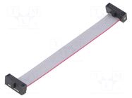 Ribbon cable with IDC connectors; IDC,both sides; 76.2mm; 3" SAMTEC