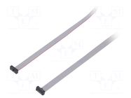 Ribbon cable with IDC connectors; IDC,both sides; 787.4mm; 31" SAMTEC