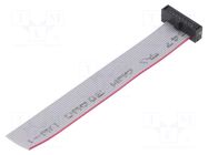 Ribbon cable with IDC connectors; IDC,wires; Tape ph: 0.64mm SAMTEC