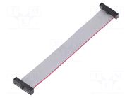 Ribbon cable with IDC connectors; IDC,both sides; 101.6mm; 4" SAMTEC