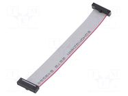 Ribbon cable with IDC connectors; IDC,both sides; 101.6mm; 4" SAMTEC