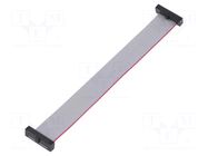 Ribbon cable with IDC connectors; IDC,both sides; 114.3mm; 4.5" SAMTEC