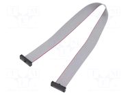 Ribbon cable with IDC connectors; IDC,both sides; 254mm; 10" SAMTEC