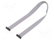 Ribbon cable with IDC connectors; IDC,both sides; 355.6mm; 14" SAMTEC