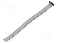 Ribbon cable with IDC connectors; IDC,wires; Tape ph: 0.64mm SAMTEC
