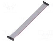 Ribbon cable with IDC connectors; IDC,both sides; 152.4mm; 6" SAMTEC