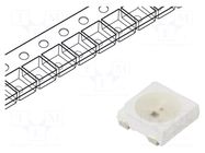 Programmable LED; RGB; SMD; 5050,PLCC4; 3.7÷5.5VDC; 5x5x1.6mm BRIGHTEK (EUROPE)