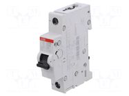 Circuit breaker; 230VAC; 220VDC; Inom: 6A; Poles: 1; Charact: Z; 10kA ABB