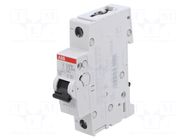 Circuit breaker; 230VAC; 220VDC; Inom: 0.5A; Poles: 1; Charact: Z ABB