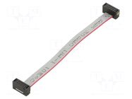 Ribbon cable with IDC connectors; IDC,both sides; 76.2mm; 3" SAMTEC