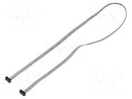Ribbon cable with IDC connectors; IDC,both sides; 508mm; 20" SAMTEC