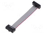 Ribbon cable with IDC connectors; IDC,both sides; 50.8mm; 2" SAMTEC