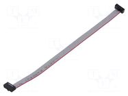 Ribbon cable with IDC connectors; IDC,both sides; 152.4mm; 6" SAMTEC