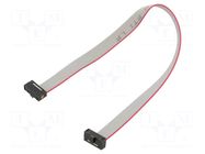 Ribbon cable with IDC connectors; IDC,both sides; 177.8mm; 7" SAMTEC