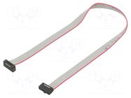 Ribbon cable with IDC connectors; IDC,both sides; 228.6mm; 9" SAMTEC