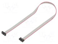 Ribbon cable with IDC connectors; IDC,both sides; 279.4mm; 11" SAMTEC