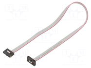 Ribbon cable with IDC connectors; IDC,both sides; 304.8mm; 12" SAMTEC