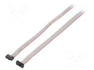 Ribbon cable with IDC connectors; IDC,both sides; 1828.8mm SAMTEC