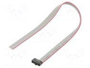 Ribbon cable with IDC connectors; IDC,wires; Tape ph: 0.64mm SAMTEC