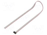 Ribbon cable with IDC connectors; IDC,wires; Tape ph: 0.64mm SAMTEC