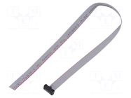Ribbon cable with IDC connectors; IDC,wires; Tape ph: 0.64mm SAMTEC