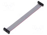 Ribbon cable with IDC connectors; IDC,both sides; 101.6mm; 4" SAMTEC