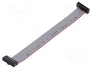 Ribbon cable with IDC connectors; IDC,both sides; 101.6mm; 4" SAMTEC