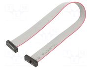 Ribbon cable with IDC connectors; IDC,both sides; 177.8mm; 7" SAMTEC