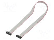 Ribbon cable with IDC connectors; IDC,both sides; 304.8mm; 12" SAMTEC