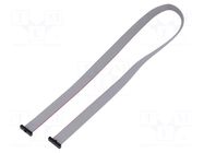 Ribbon cable with IDC connectors; IDC,both sides; 609.6mm; 24" SAMTEC