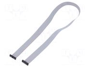 Ribbon cable with IDC connectors; IDC,both sides; 609.6mm; 24" SAMTEC