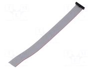 Ribbon cable with IDC connectors; IDC,wires; Tape ph: 0.64mm SAMTEC