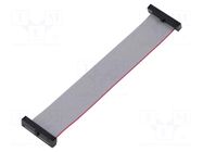 Ribbon cable with IDC connectors; IDC,both sides; 101.6mm; 4" SAMTEC