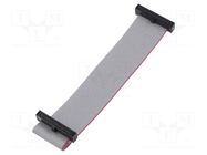 Ribbon cable with IDC connectors; IDC,both sides; 101.6mm; 4" SAMTEC