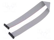 Ribbon cable with IDC connectors; IDC,both sides; 304.8mm; 12" SAMTEC