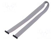 Ribbon cable with IDC connectors; IDC,both sides; 508mm; 20" SAMTEC