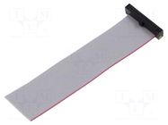 Ribbon cable with IDC connectors; IDC,wires; Tape ph: 0.64mm SAMTEC