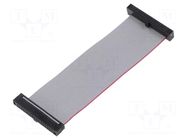 Ribbon cable with IDC connectors; IDC,both sides; 76.2mm; 3" SAMTEC