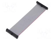 Ribbon cable with IDC connectors; IDC,both sides; 88.9mm; 3.5" SAMTEC