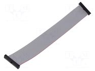 Ribbon cable with IDC connectors; IDC,both sides; 177.8mm; 7" SAMTEC
