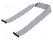 Ribbon cable with IDC connectors; IDC,both sides; 406.4mm; 16" SAMTEC