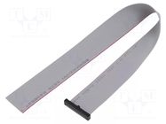 Ribbon cable with IDC connectors; IDC,wires; Tape ph: 0.64mm SAMTEC