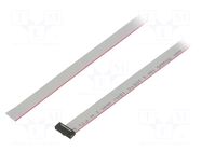 Ribbon cable with IDC connectors; IDC,wires; Tape ph: 0.64mm SAMTEC