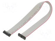 Ribbon cable with IDC connectors; IDC,both sides; 228.6mm; 9" SAMTEC
