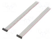 Ribbon cable with IDC connectors; IDC,both sides; 914.4mm; 36" SAMTEC