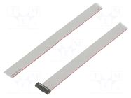 Ribbon cable with IDC connectors; IDC,wires; Tape ph: 0.64mm SAMTEC