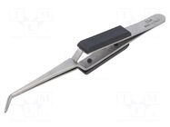 Tweezers PIERGIACOMI